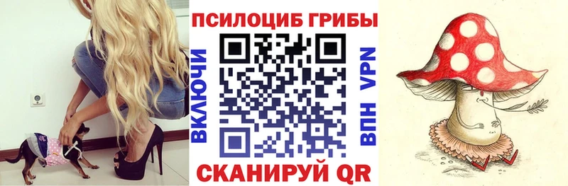 KRAKEN tor  Новохопёрск  Галлюциногенные грибы ЛСД 